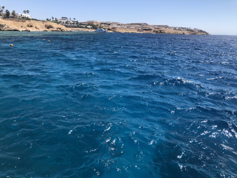 Червоне море